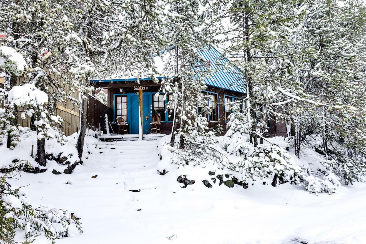 Flying Stag: Main Lodge Говермент Кэмп Экстерьер фото